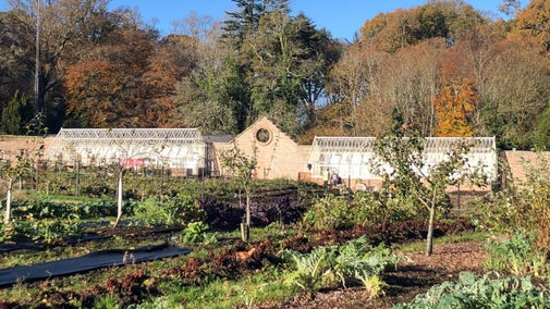 View of newly installed glasshouses in autumn in the kitchen garden, Florence Court, Co. Fermanagh